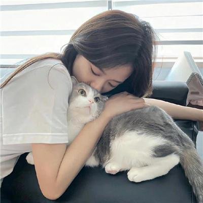 紫苑草