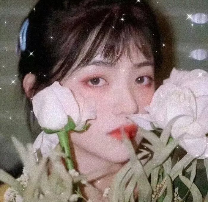 海港(1973版）